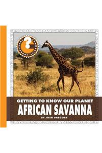 African Savanna