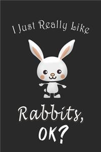 I Just Really like Rabbits, OK ? Journal