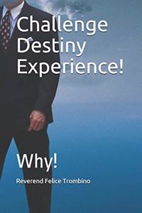 Challenge Destiny Experience!