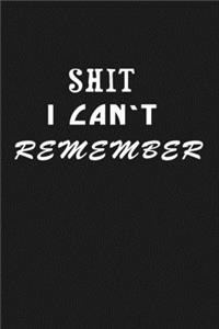 Shit I Can't Remember
