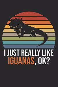 I Just Really Like Iguanas, OK?