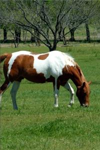 2020 Daily Planner Horse Photo Equine Grazing Chestnut 388 Pages
