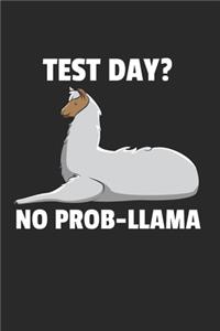 Lama Alpaka Notizbuch