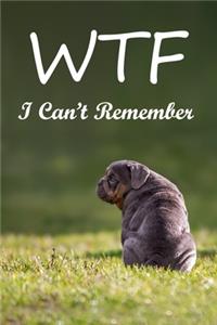 WTF I Can't Remember