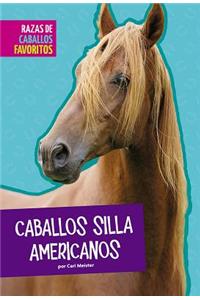 Caballos Silla Americanos