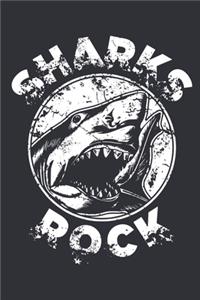 Sharks Rock