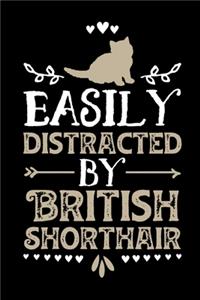 Easily Distracted By British Shorthair