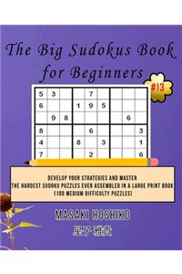 The Big Sudokus Book for Beginners #13
