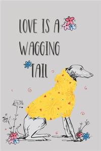 Love is a wagging tail