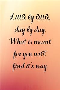 Little by little, day by day. What is meant for you will find it's way.