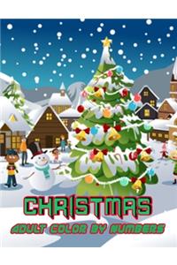Christmas Adult Color By Numbers