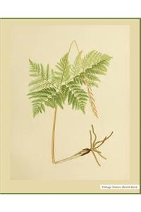 Vintage Nature Sketch Book