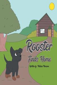 Rooster Finds Home