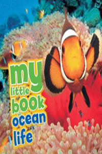 My Little Book of Ocean Life