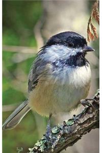 Chickadee Lined Journal