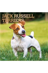 Jack Russell Terriers 2021 Square Foil