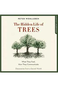 The Hidden Life of Trees: What They Feel, How They Communicate; Discoveries from a Secret World
