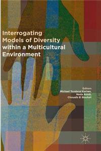 Interrogating Models of Diversity within a Multicultural Environment