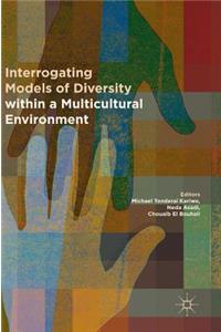 Interrogating Models of Diversity Within a Multicultural Environment