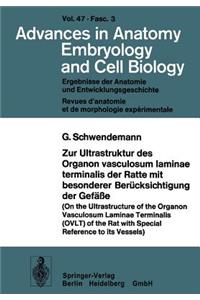 Zur Ultrastruktur Des Organon Vasculosum Laminae Terminalis Der Ratte Mit Besonderer Berücksichtigung Der Gefäße