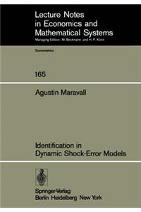 Identification in Dynamic Shock-Error Models