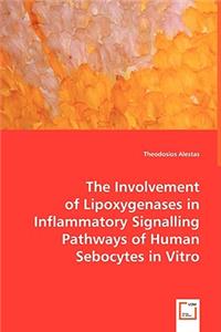 Involvement of Lipoxygenases in Inflammatory Signalling Pathways of Human Sebocytes in Vitro