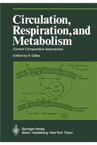 Circulation, Respiration, and Metabolism