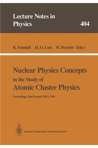 Nuclear Physics Concepts in the Study of Atomic Cluster Physics