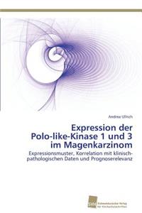 Expression der Polo-like-Kinase 1 und 3 im Magenkarzinom