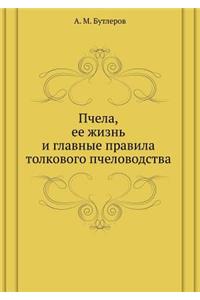 Пчела, ее жизнь и главные правила толково