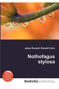 Nothofagus Stylosa