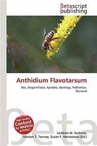 Anthidium Flavotarsum