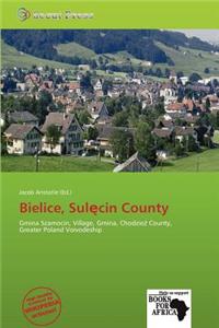 Bielice, Sul Cin County