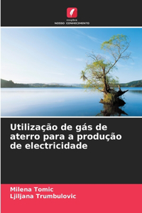 Utilização de gás de aterro para a produção de electricidade