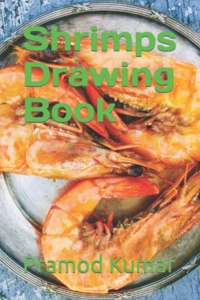 Shrimps Drawing Book