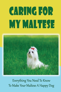 Caring For My Maltese