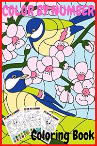 Color by number coloring book