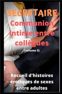 SECRETAIRE - Communion intime entre collègues (volume 3)
