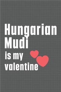 Hungarian Mudi is my valentine