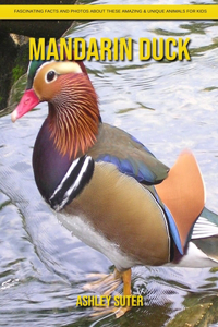 Mandarin Duck