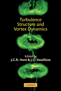 Turbulence Structure and Vortex Dynamics