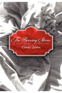 Brewing Storm