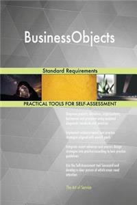 BusinessObjects Standard Requirements