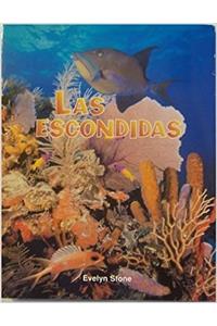 Pan Y Canela C (Small Books): Las Escondidas
