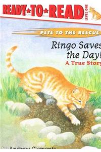 Ringo Saves the Day