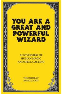 You Are a Great and Powerful Wizard