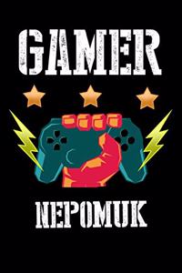 Gamer Nepomuk