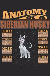 Anatomy Of A Siberian Husky