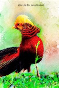 Watercolor Bird Nature Notebook