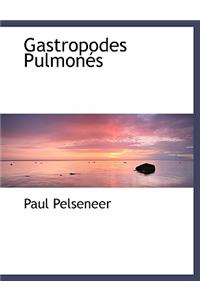 Gastropodes Pulmonés